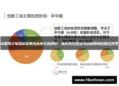 中国青少年团体发展与未来方向探析：培养责任担当与创新精神的路径探索